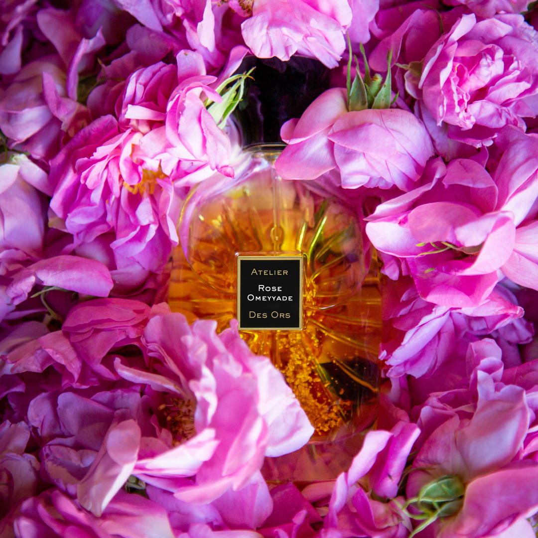 ROSE OMEYYADE - EDP
